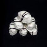 melomakarona_lefko (2)